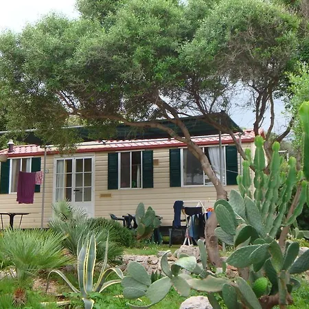 Happy Camp In El Bahira Village